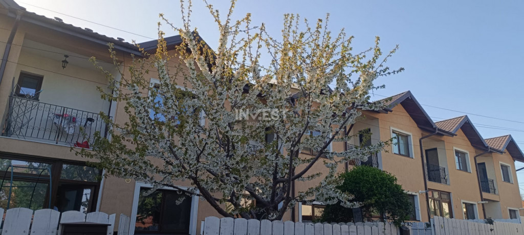 Casa cu 3 camere, 2 bai, Valea Lupului-Mall Moldova