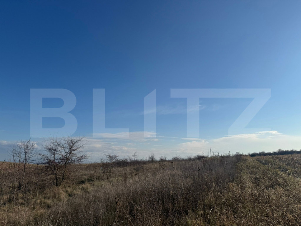 Teren extravilan 1700 mp, zona Archia