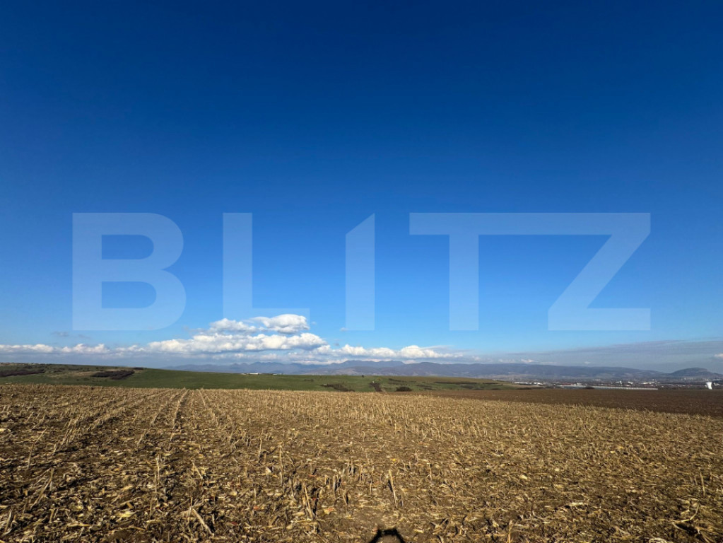 Teren extravilan agricol 5700 mp, Cristur