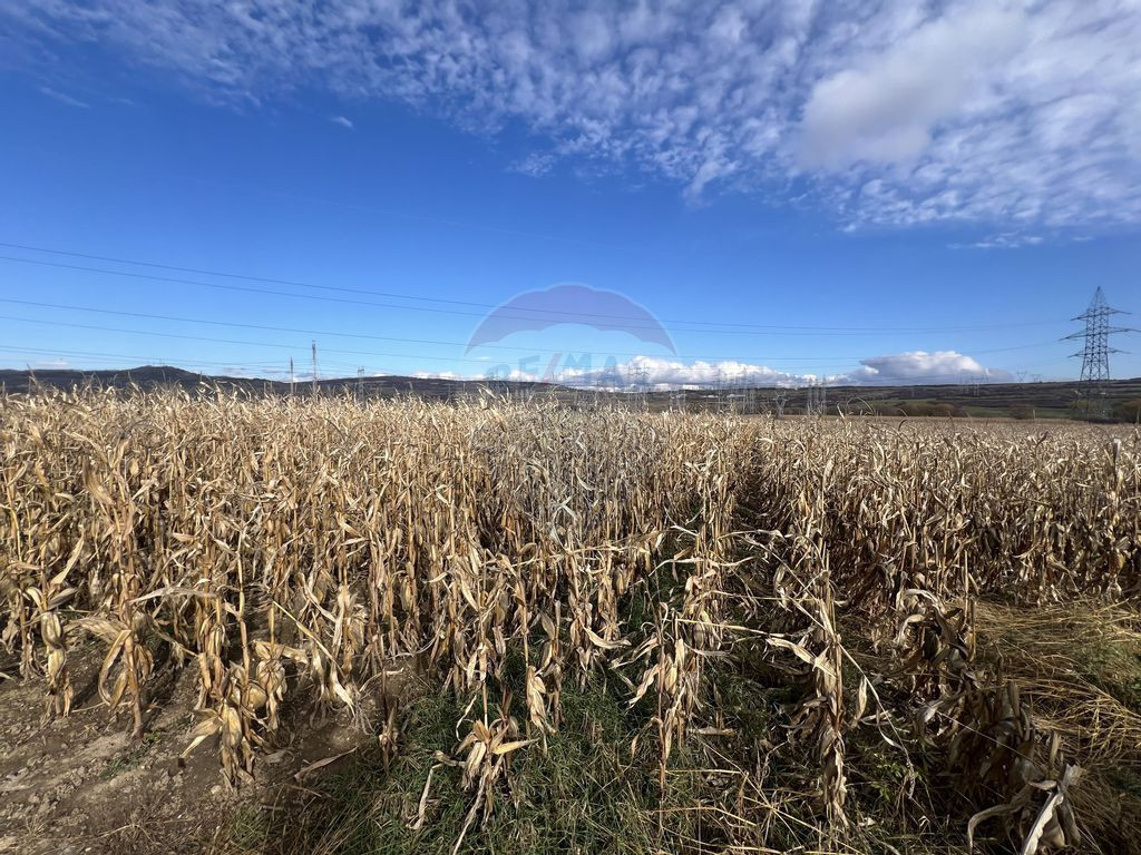 Apartament cu 2 camere + grădină