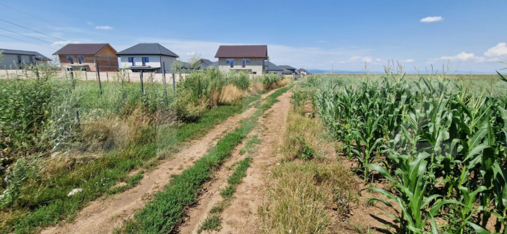 ???? Teren de vânzare, partial intravilan – Izvor, Tărlu