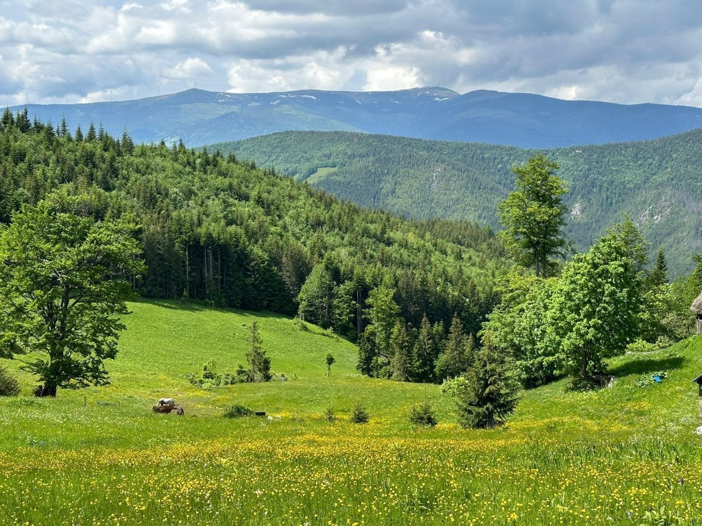 Terenuri extravilane – Cozieni, jud. Buzău 70000mp