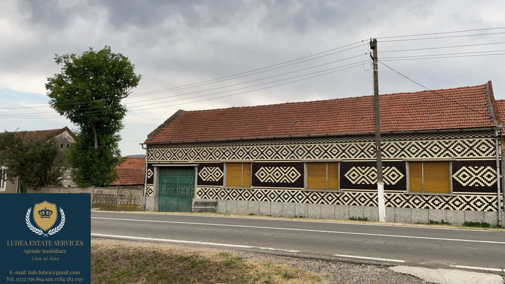 Casă + teren uriaș Remetea Poganici, Caras-Severin