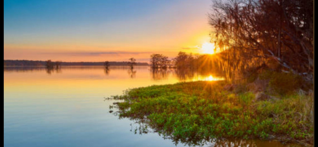 Teren 208 mp cu PUD aprobat – Banu Manta