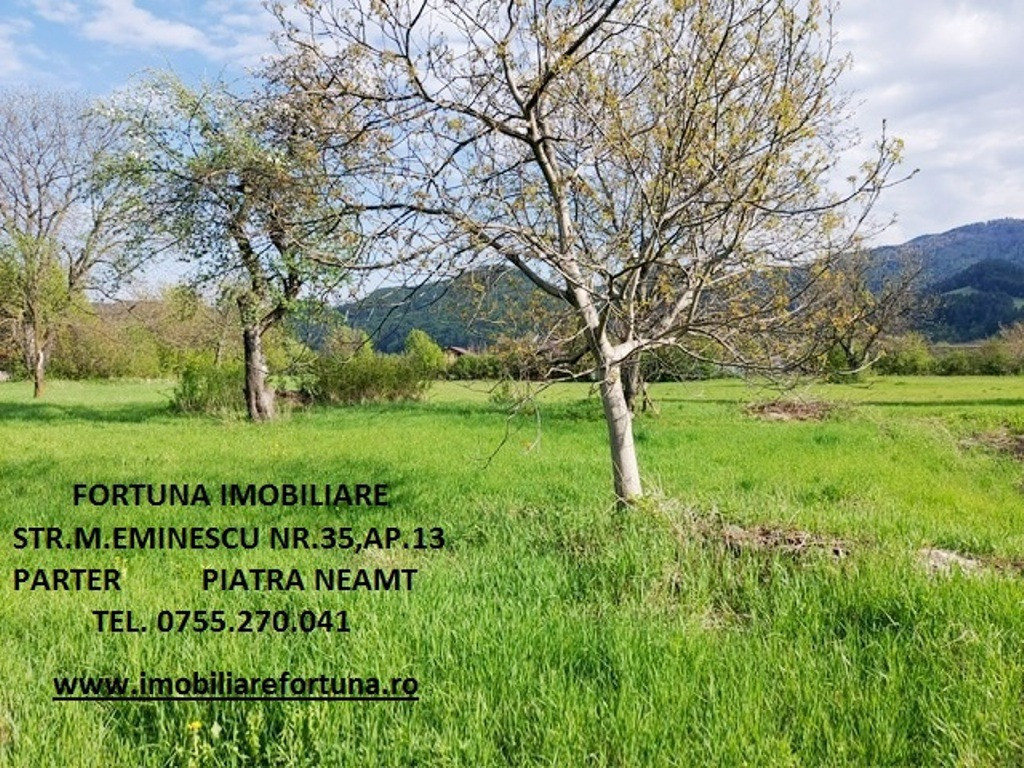 Teren intravilan 1480 mp, Alexandru cel Bun