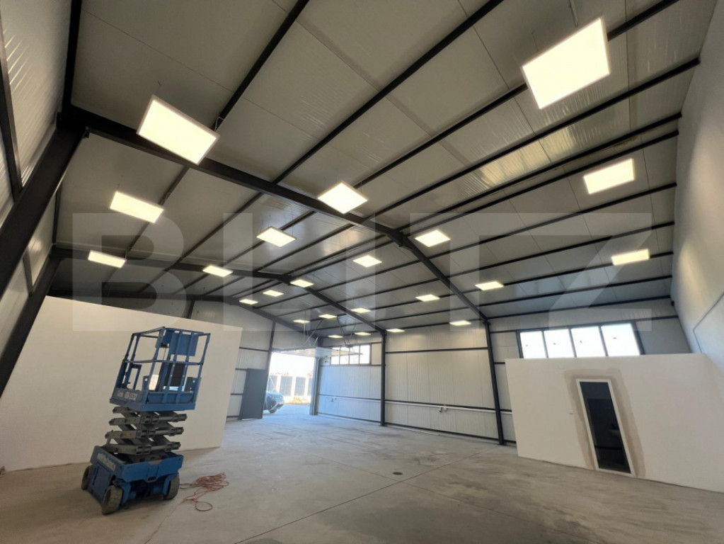 Hala 290,6 mp si 1263 mp teren, zona Carcea