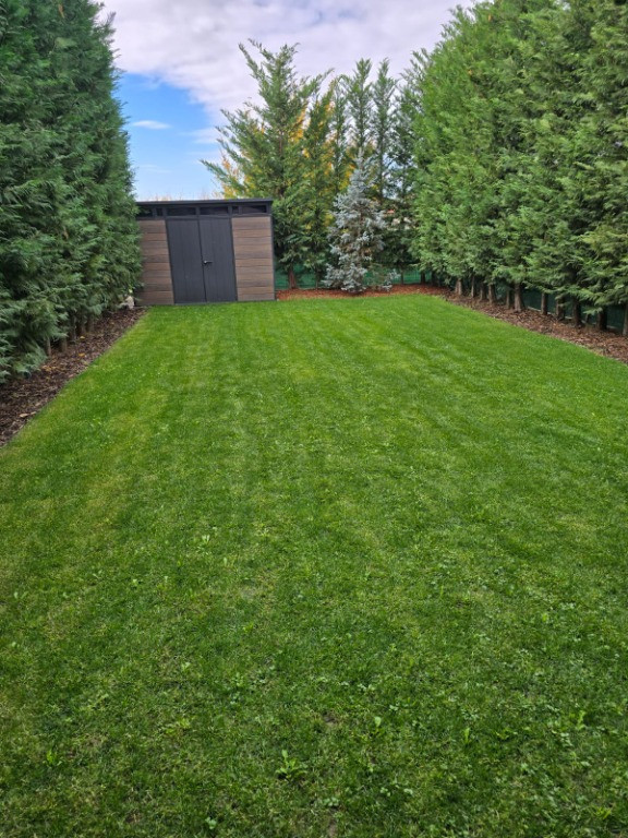 Duplex Confort și intimitate Dumbrăvița in față