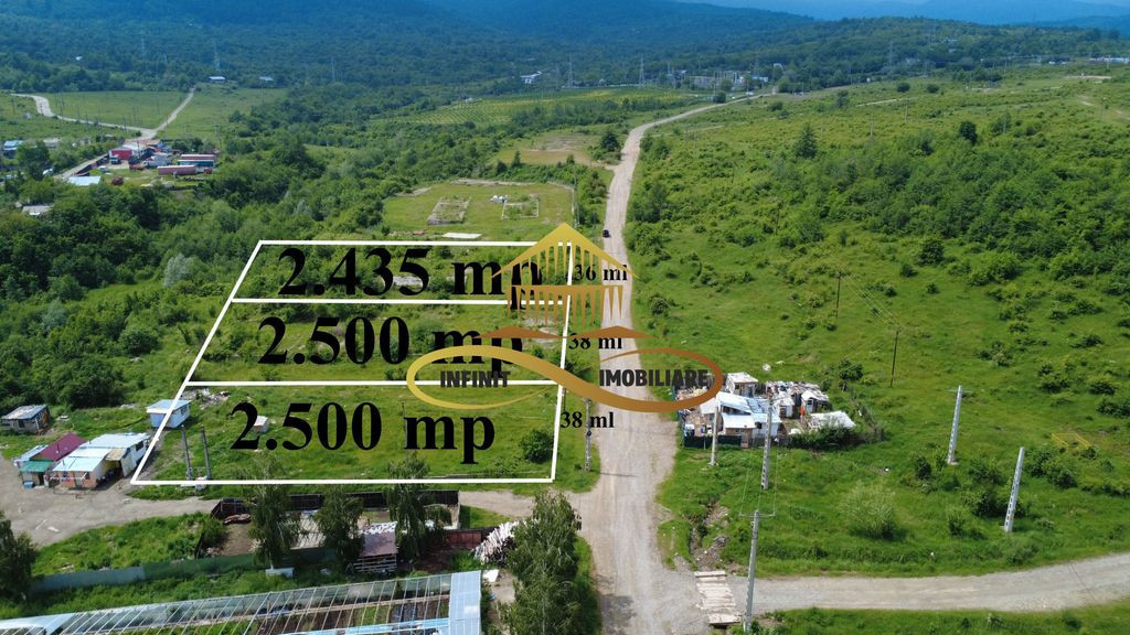 Teren pentru constructie hala indrustriala - Moinesti/Bacau