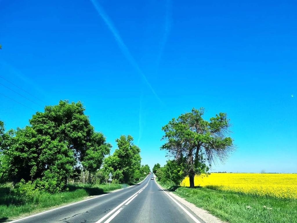 Popesti Frumusani Teren Construibil 560MP