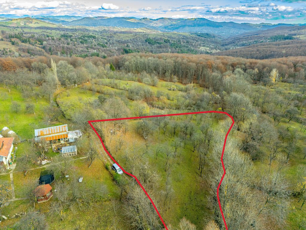 Teren intravilan 4384 mp – Comuna Talea, județul Prahova