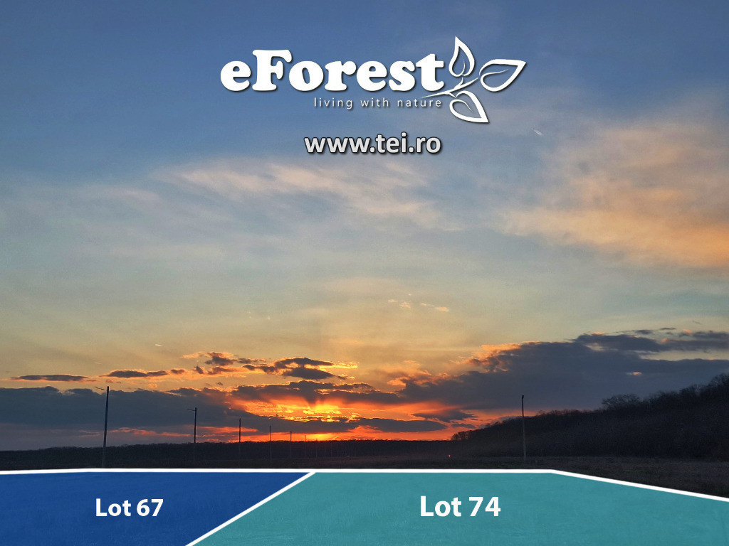 Loturi de casă 720 - 900 mp, langă Pădure în eForest, acces asfaltat