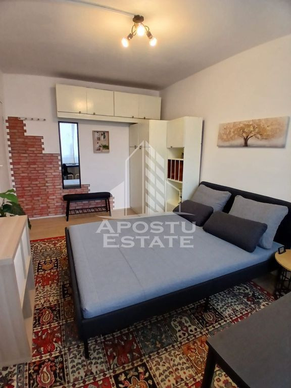 Garsoniera Pet friendly, zona Buziasului