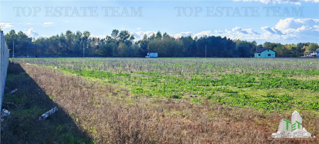 Oportunitate de investitie, teren intravilan 13600mp, cu toa