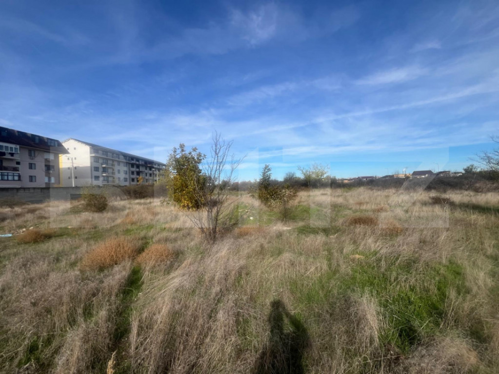 Teren intravilan, 27.966 mp, in Brestei/Eurocartier