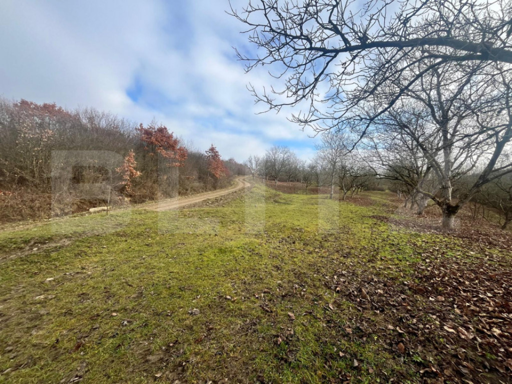 Teren extravilan, 4 hectare, langa livada de mere Ghinda