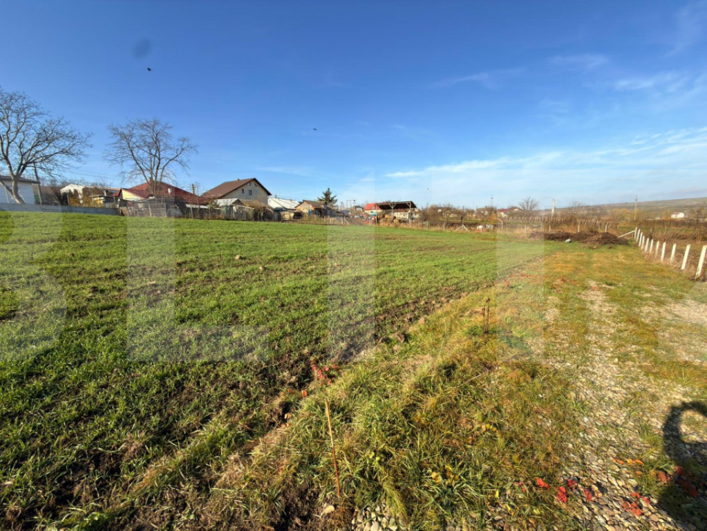 Teren parcelat – 5 loturi ideale pentru investiție, 3750