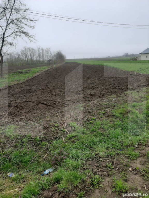 Teren Intravilan 3600mp, Popeni - George Enescu