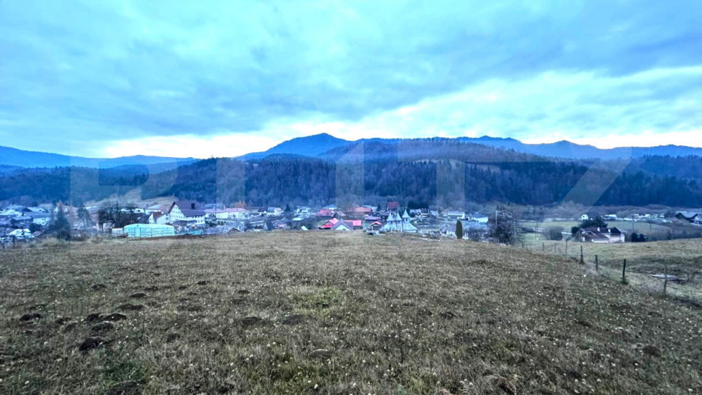 VAND 2500 MP DE TEREN INTRAVILAN LA COLIBITA