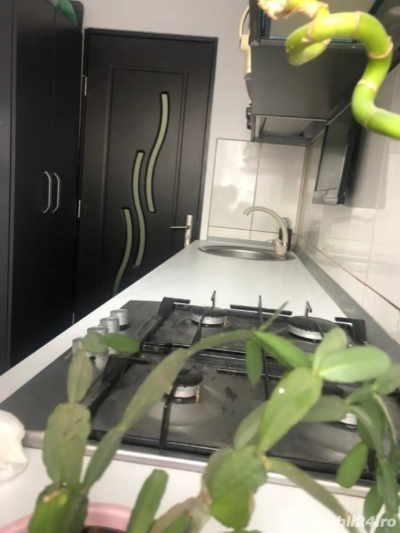 Obor parter cu boxa proprie