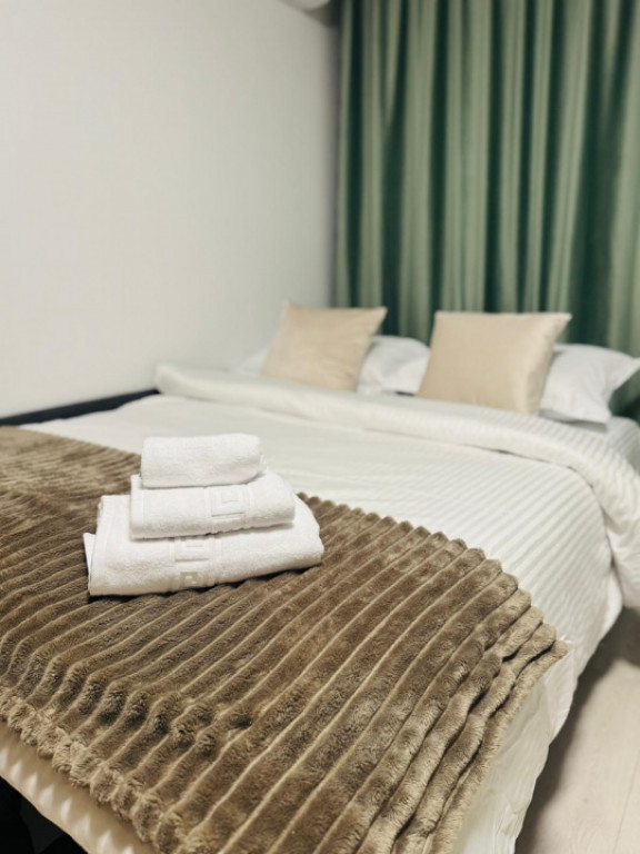 APARTAMENT 1 CAMERA, ETAJ 1, MOBILAT SI UTILAT, POPAS PACURA