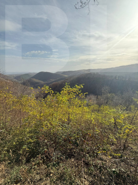 Teren extravilan impadurit, 20424 mp ideal pentru investitie