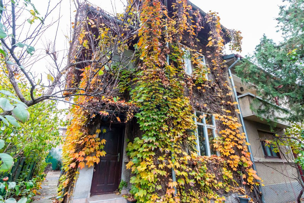 Vila Individuala 5 camere Domenii-Agronomie 178mpu Parcar...