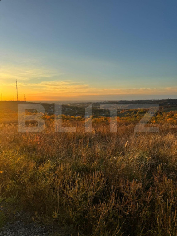 Teren Penoramic de 2700mp, Podgoria