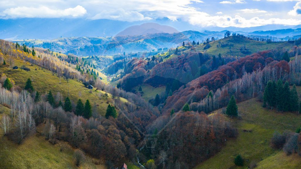 COMISION 0% Teren 8013mp Moieciu de Jos / Strada Valea cu...