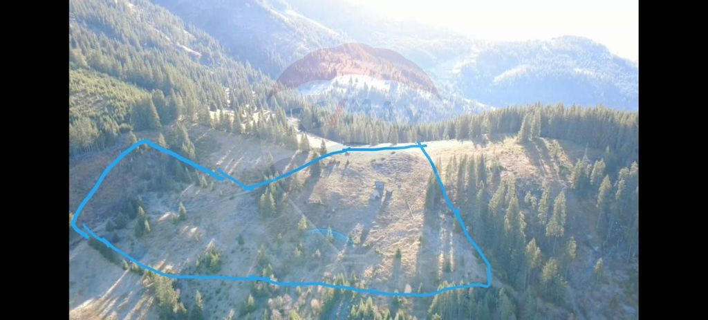 Teren 31,461mp Panaci / Prelungirea Ialovita