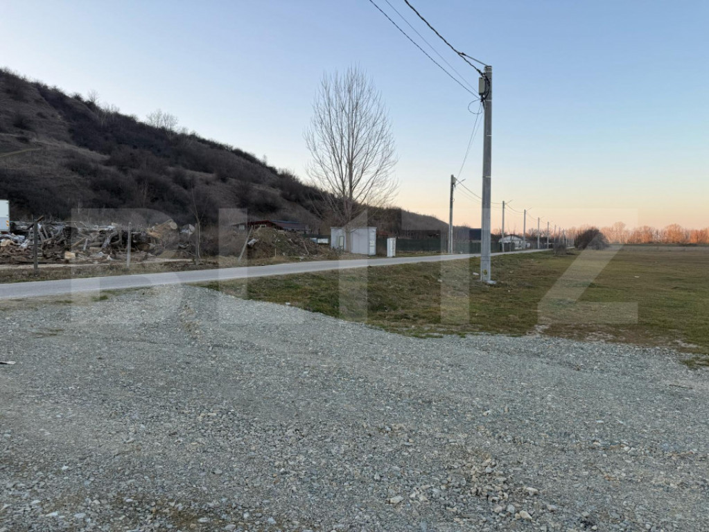 Teren intravilan industrial, 4307 mp, Podari