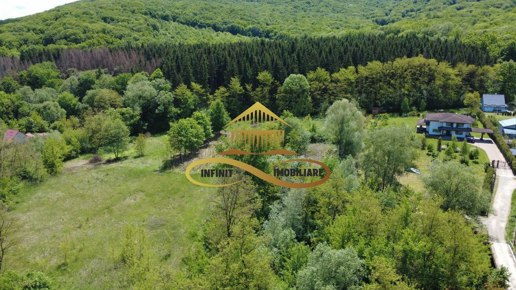 Teren intravilan | Ideal pentru 2 case | Lilieci - de van...