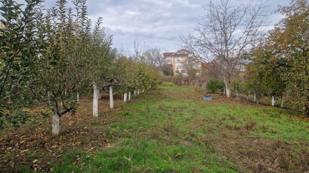 TEREN INTRAVILAN STRADA MIRCEA VODA-2000MP, DESCHIDERE STRA