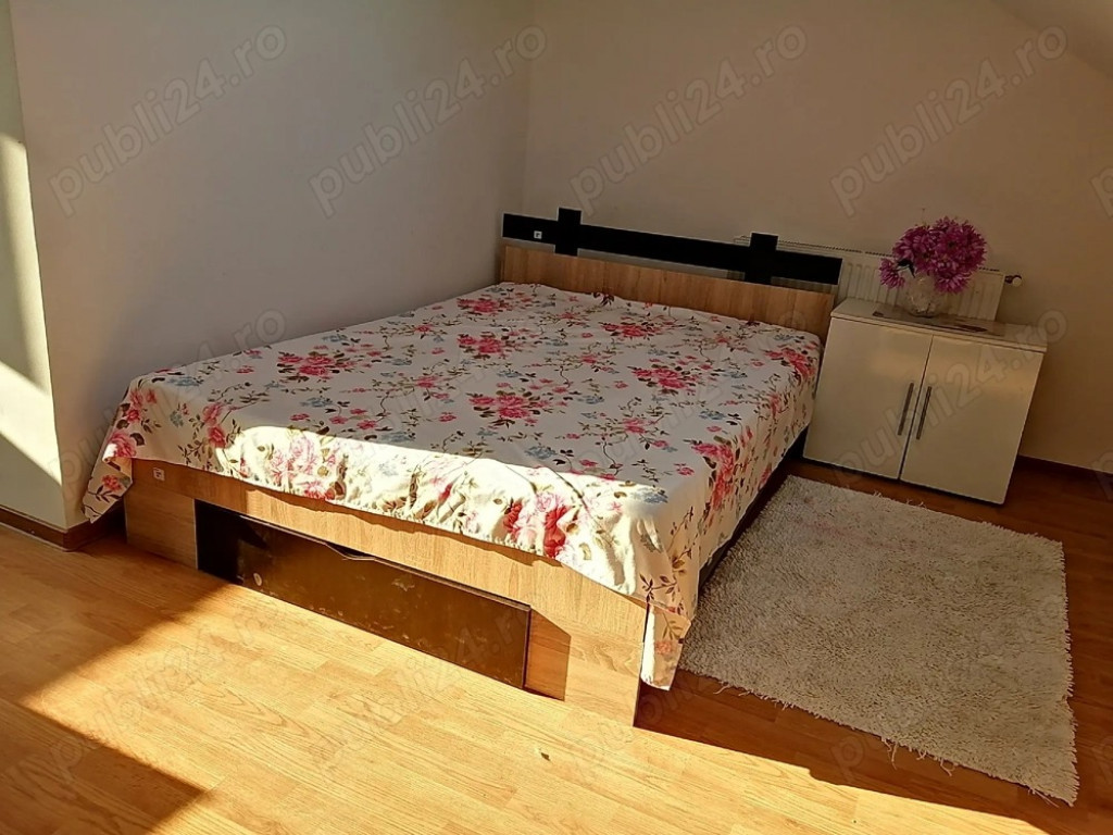 Dimitrie leonida vila etaj 2