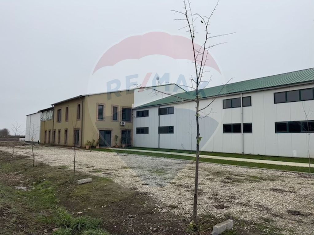 Ferma agro-industrială – 43 ha Adunații Copaceni