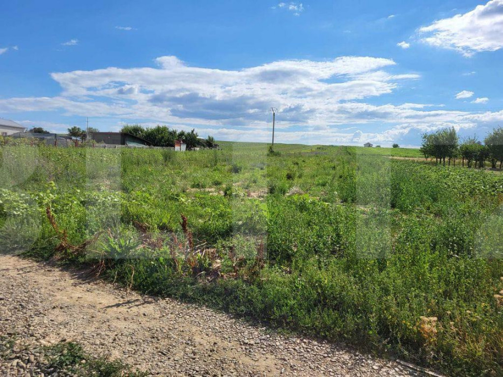 Teren Intravilan Curtesti 7500mp