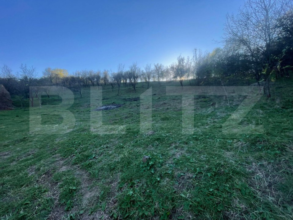 Teren Intravilan 1890mp Oarda de Sus