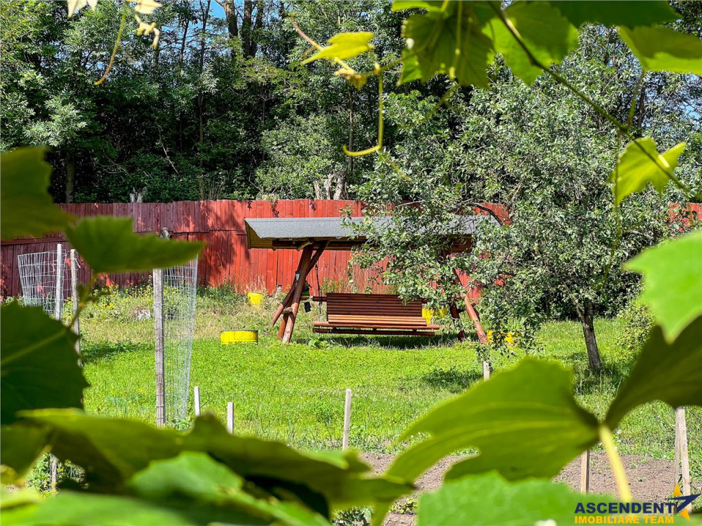 FILM! Locuinta contemporana si rafinata, inteligent organiza