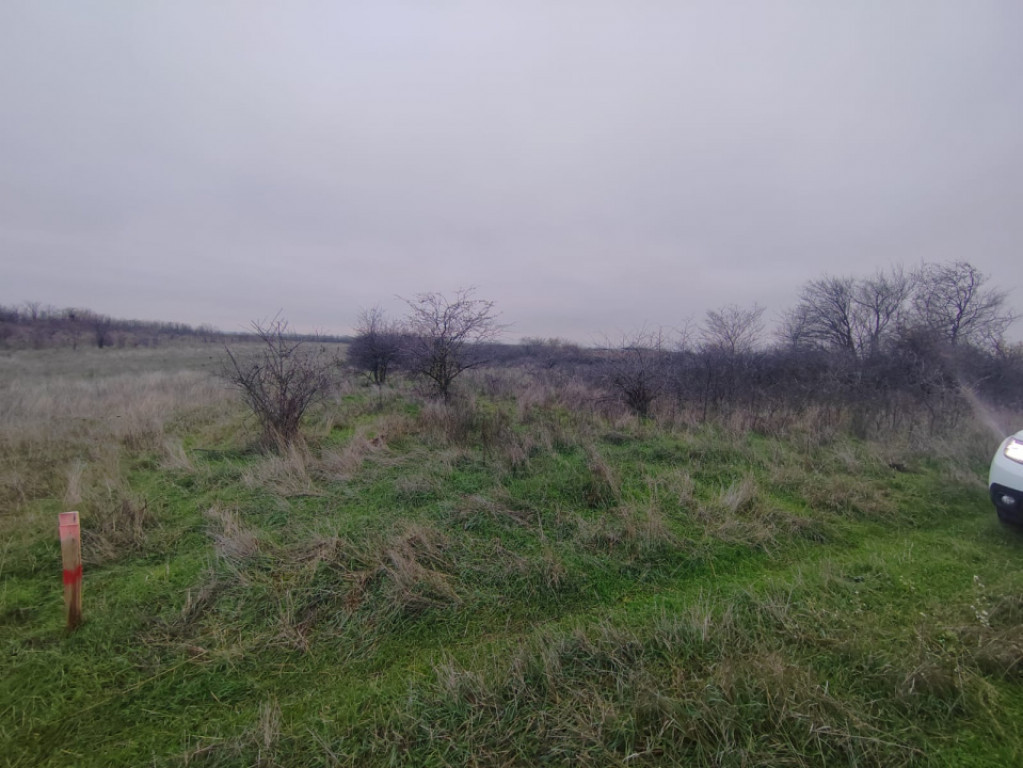 Teren extravilan Carcea - 2500 mp