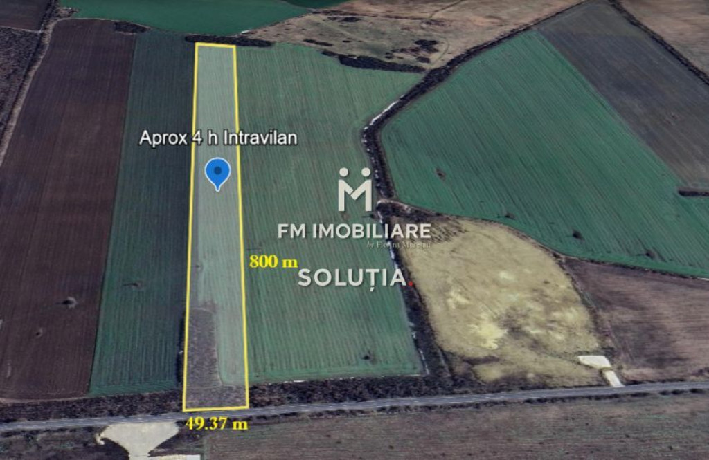Refugiu la marginea padurii — 1000 mp de liniste in Cocani