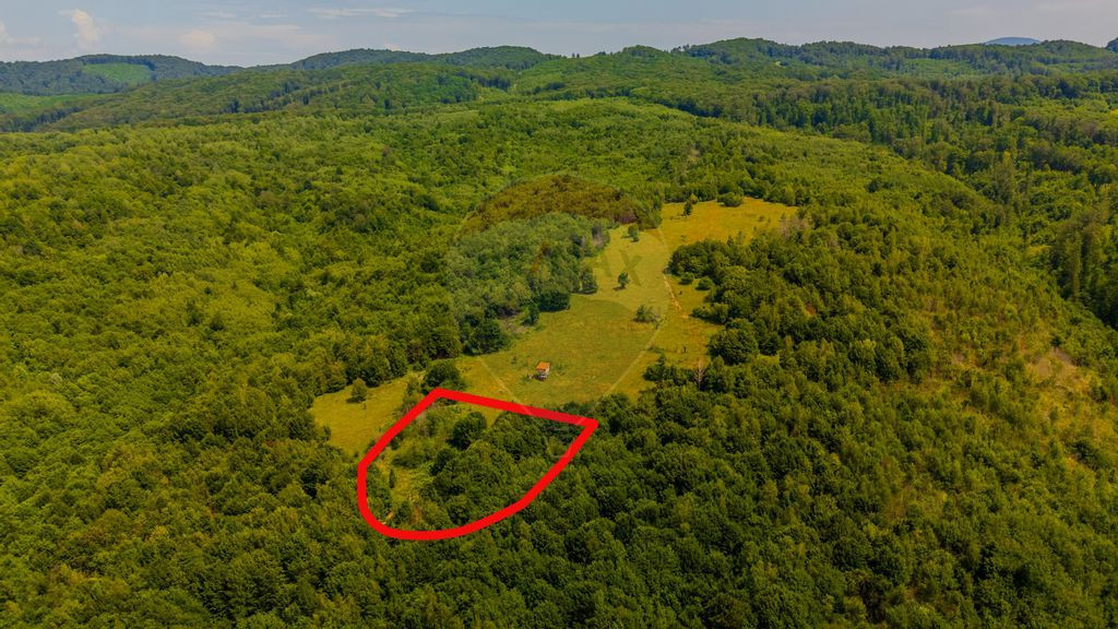 COMISION 0% Teren 6,572 mp/Curți construcții/ Intravilan