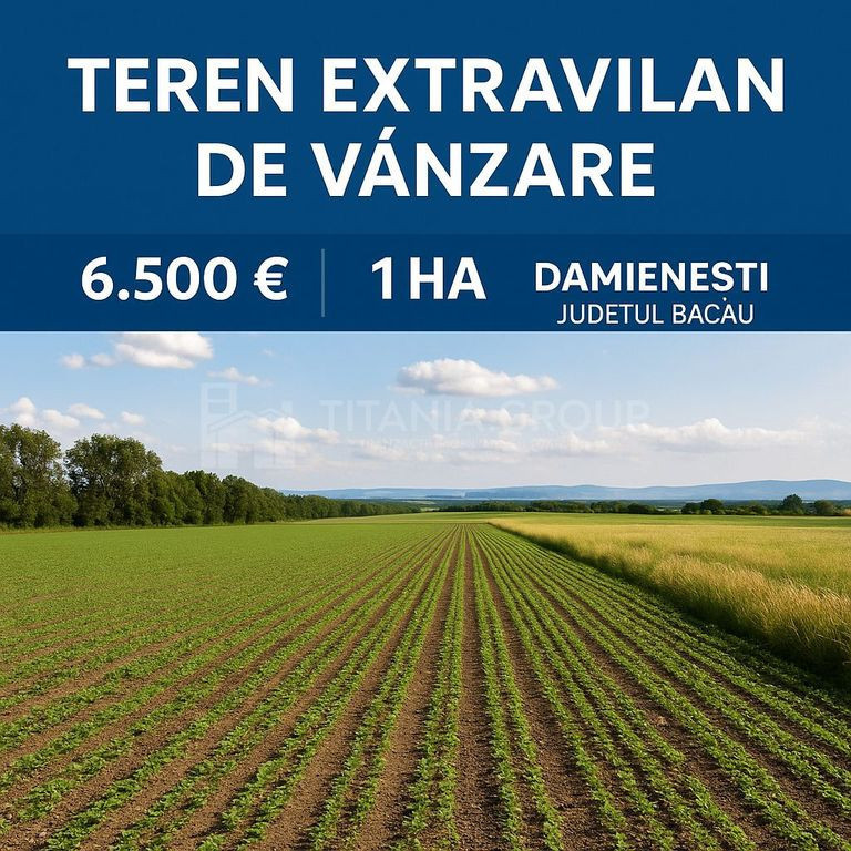Teren extravilan agricol 1 ha de vânzare- Damienești, B...