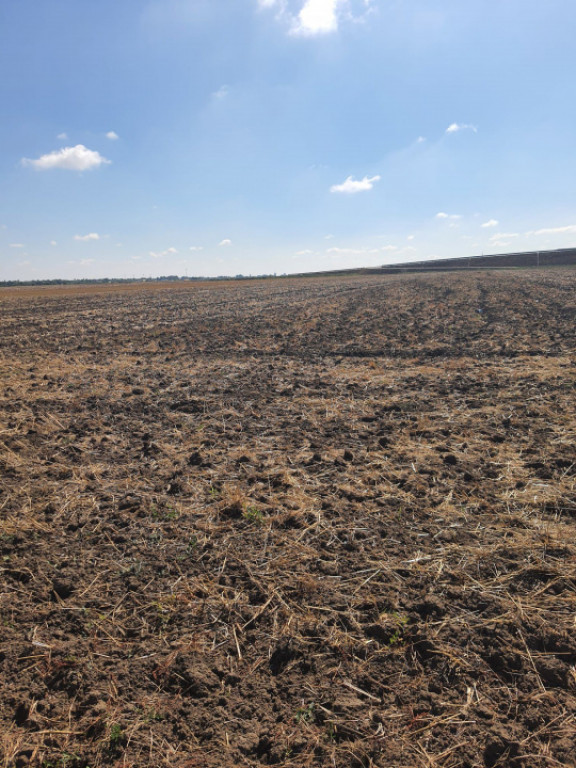 TEREN EXTRAVILAN 7.802 mp –DOMNESTI, ILFOV