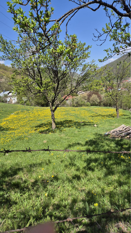 Vand teren Siriu 6400 mp