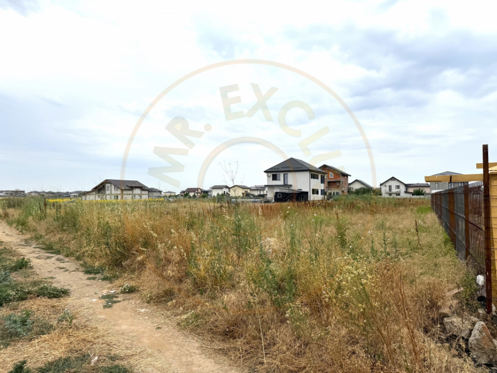 Teren Intravilan pe Strada Bega/Com. Berceni – Locația Pe