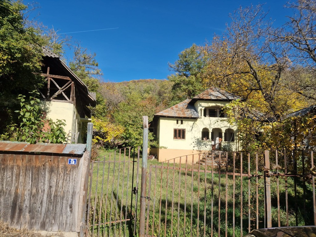 Vand casa si teren in satul Gheboieni, Dambovita