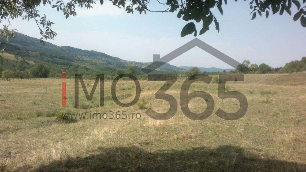 Teren 15 Hectare in sat | Mihaesti | Arges