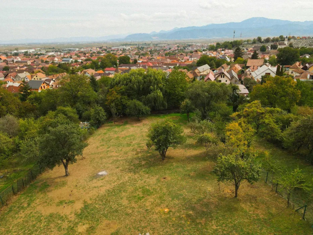 Teren Intravilan 3290 mp Codlea 3 Parcele