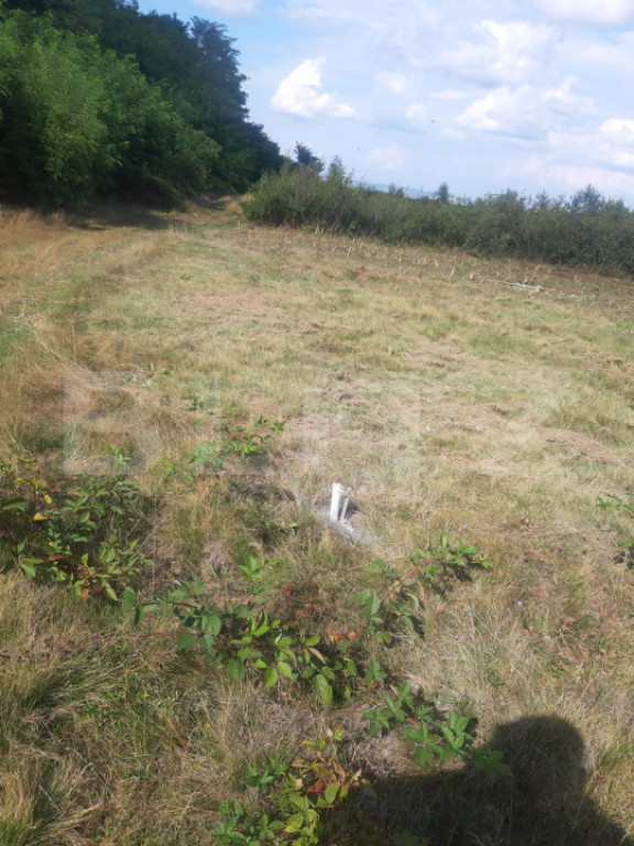 Teren extravilan 1300 mp, Cârțișoara- Malcuța