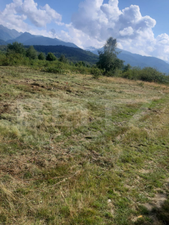 Teren extravilan 3500 mp, Sibiu, loc. Cârțișoara