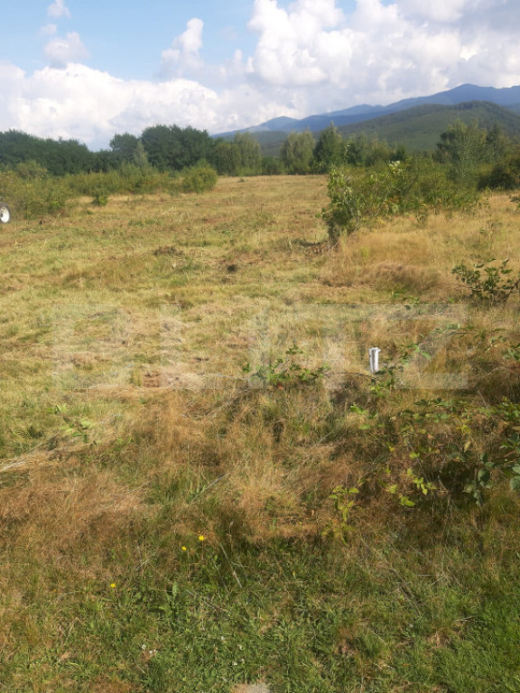 Teren extravilan 3300 mp, Cârțișoara- Set